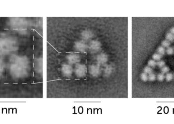 O moleculă formează fractali în mod natural