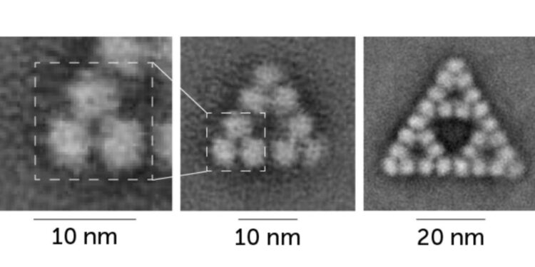 O moleculă formează fractali în mod natural