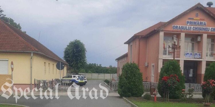Percheziții la Primăria Chișineu-Criș. Poliția a verificat documente