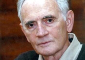 Geografia literară a României. Livius Ciocârlie, „De la Sancho Panza, la Cavalerul Tristei Figuri – Jurnal”