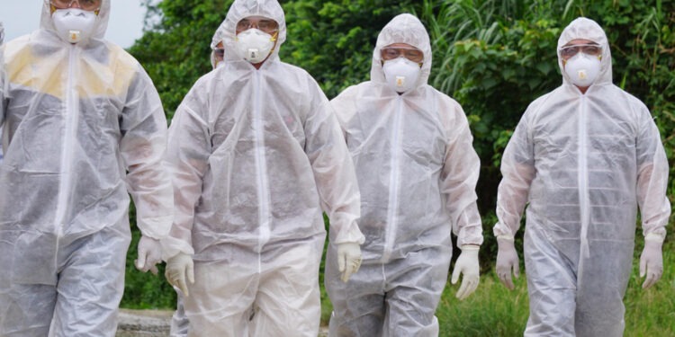 Gripa aviară bântuie în SUA