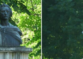 Administrația Fritz versus busturile personalităților dinTimișoara