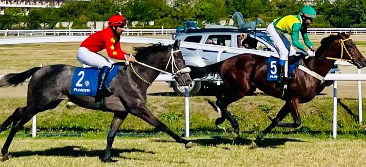 Când la trap, când la galop