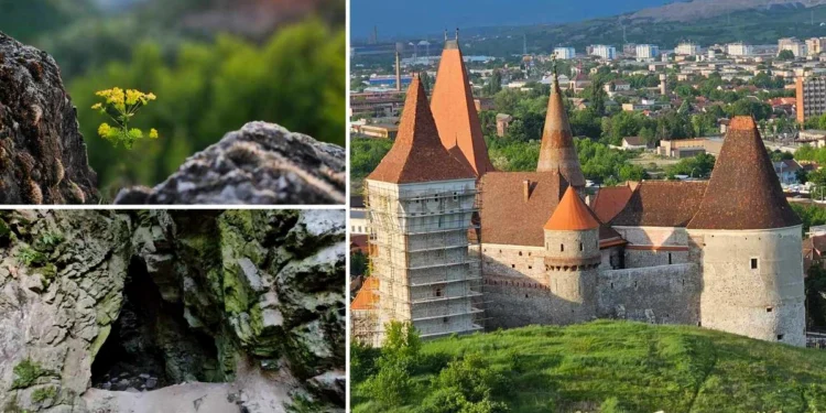 Marele labirint subteran de lângă Castelul Corvinilor. Ce se ascunde sub un deal legendar din Hunedoara