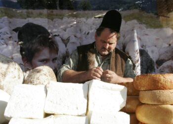 Canalele de distribuție a produselor din lapte de oaie și capră