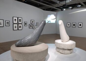 Brâncuși al nostru și al tuturor