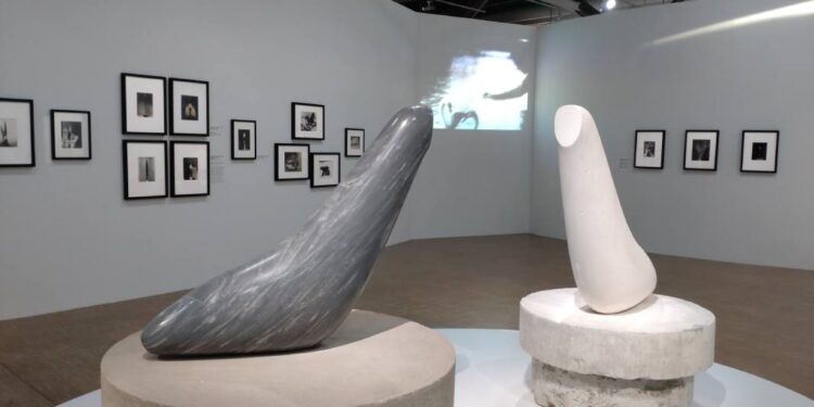 Brâncuși al nostru și al tuturor