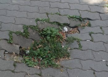 Fritz, fă trotuarul!