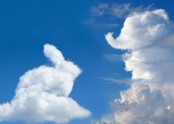 Scheme și stratageme estivale