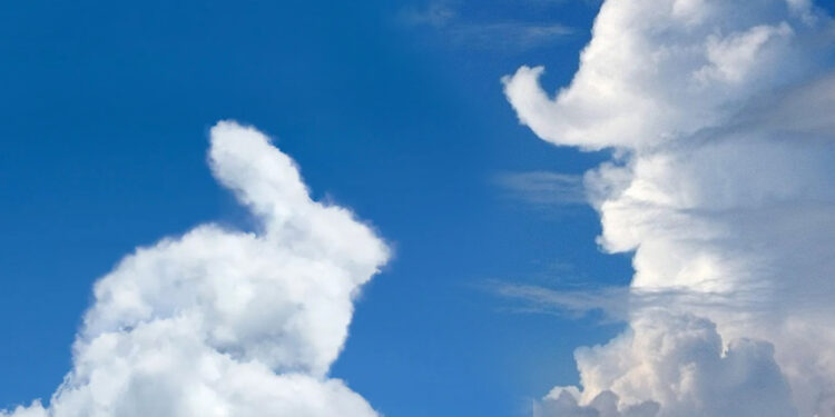 Scheme și stratageme estivale