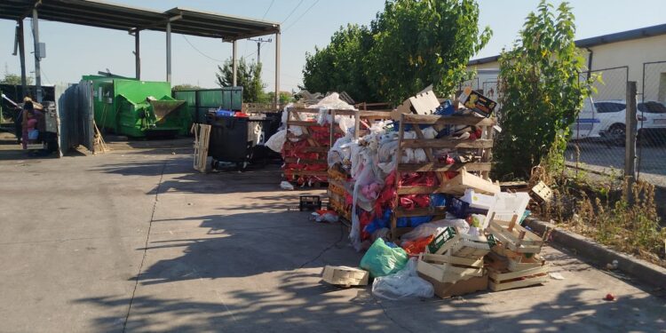 Poliția Locală Timișoara aplică amenzi pentru lipsa curățeniei și etichetelor în piețe 