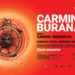 „Carmina Burana”, celebra lucrare a lui Carl Orff, va fi interpretată de Corul Comunitar, în Parcul Rozelor din Timișoara