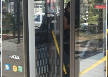 Șoferul îndărătnic