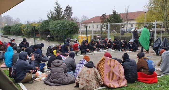 Operațiune DIICOT cu migranți și traficanți la Timișoara și Arad