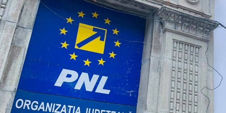 DANUT GROZA AUT DIN PNL