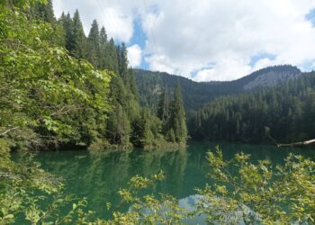 Din minunățiile munților Bucegi (I)