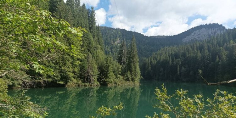 Din minunățiile munților Bucegi (I)