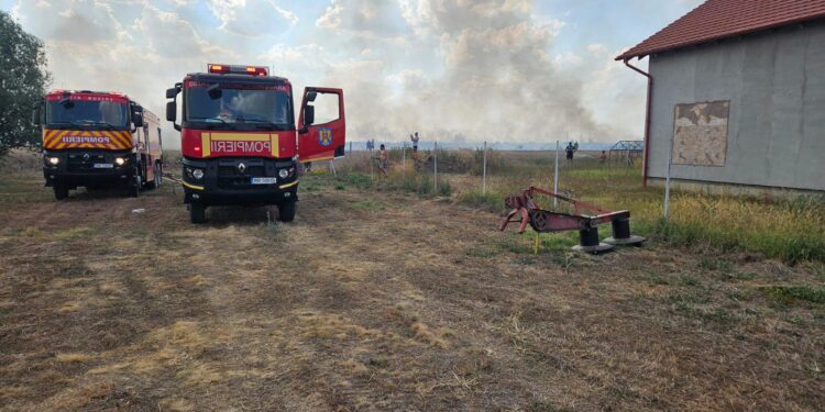 25 de hectare îl flăcări la Urseni și Carani