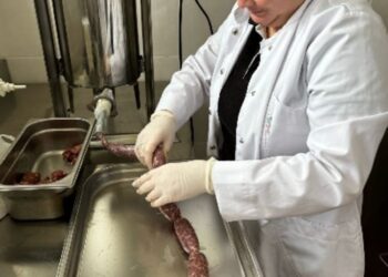 Universitatea de Științele Vieții din Timișoara prezintă rezultatele proiectului EIT Food RIS Consumer Engagement Labs 2024