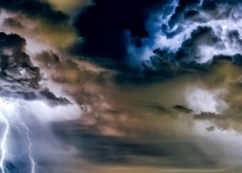 Cod galben de furtuni în Banat