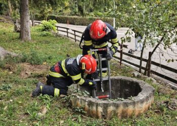 Pisicuță salvată dintr-o fântână de 8 metri de pompierii din Hunedoara