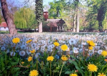 Târgul Meșterilor Populari de la Muzeul Satului Bănățean