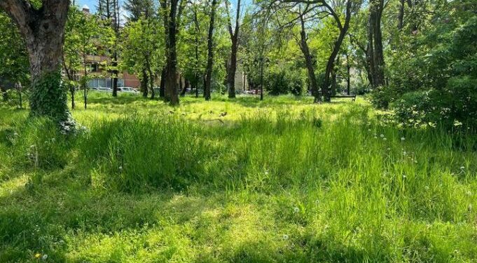 Regenerare urbană a orașului Gătaia