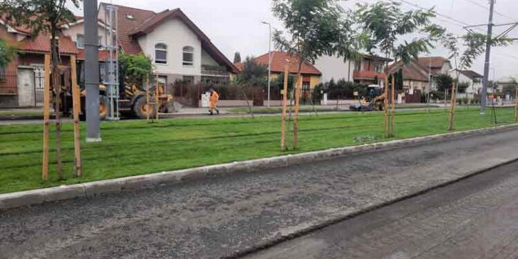 S-au reluat lucrările pe Calea Bogdăneștilor