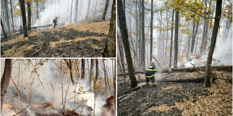Incendiu extins de pădure în Munții Poiana Ruscă