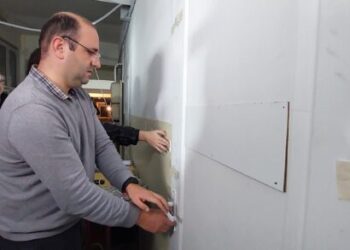 Voturi renumărate în Timiș