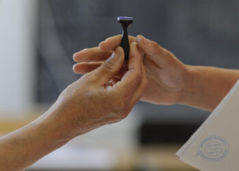 Alegerile Parlamentare 2024