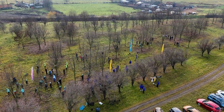 Timișoara, mai verde cu fiecare copac