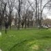Zonele verzi din Timișoara sunt în creștere