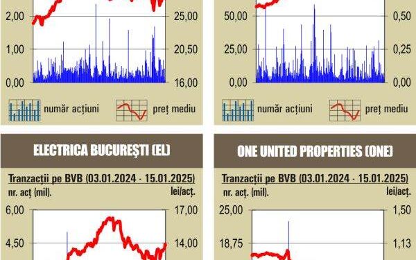 Bursa de Valori București în zig-zag