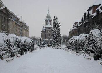 Ninsori, ploi și polei până sâmbătă dimineață