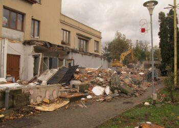 Fritz, demolatorul fără autorizație