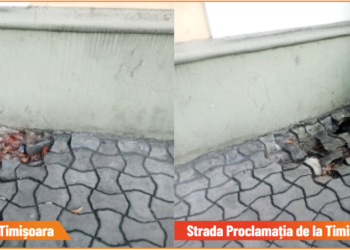 FRITZ, FĂ TROTUARUL!