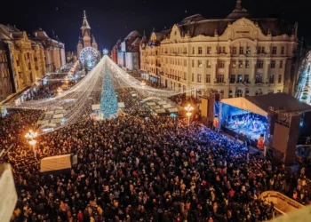 GATA CU TÂRGUL DE CRĂCIUN
