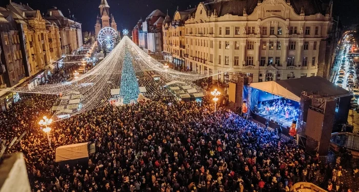 GATA CU TÂRGUL DE CRĂCIUN