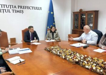 În Timiș vor fi realizate 500 de hectare de noi perdele forestiere de protecție