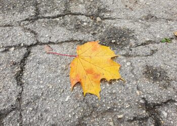 DE CE NU FACE FRITZ TROTUARELE?