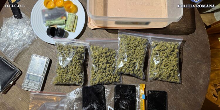 Captură uriașă la Timișoara