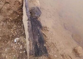 Monoxilă  medievală