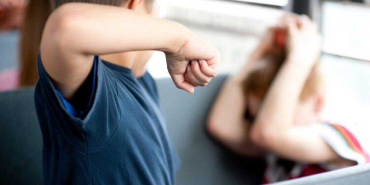 Violența Domestică și Violența în Școli