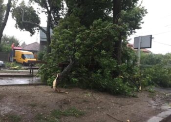 Vântul puternic a provocat pagube în Timișoara