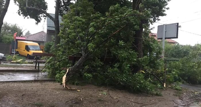 Vântul puternic a provocat pagube în Timișoara