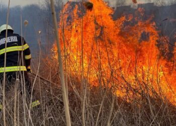 Peste 200 hectare de vegetaţie uscată incendiată