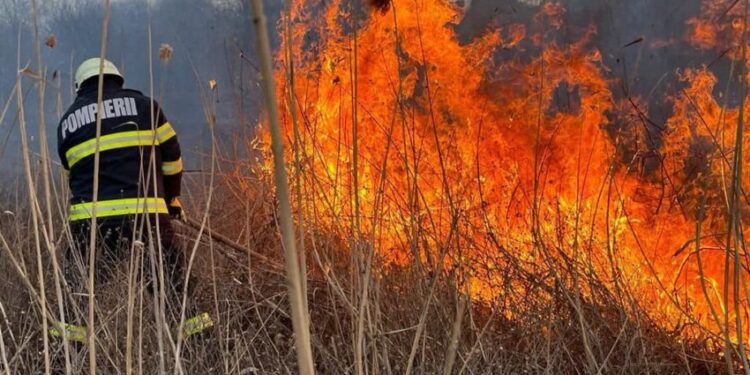 Peste 200 hectare de vegetaţie uscată incendiată