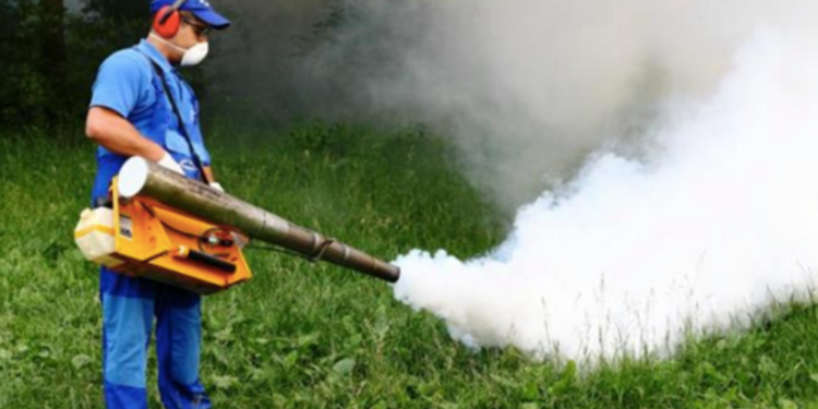 Primăria Timișoara continuă campania de dezinsecție