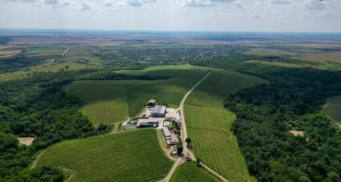 Maratonul Inimii revine în 2025